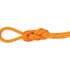 8.7 Alpine Sender Dry Kletterseil