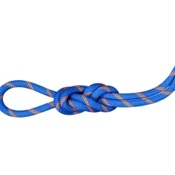 9.0 Alpine Sender Dry Kletterseil