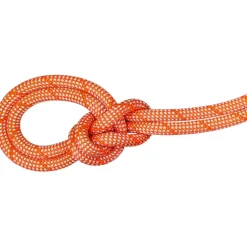 9.8 Crag Classic Kletterseil