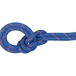 9.0 Crag Sender Dry Kletterseil
