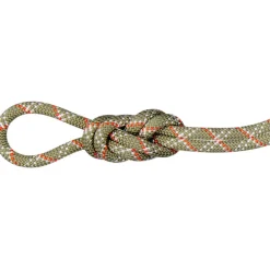 9.5 Gym Classic Kletterseil