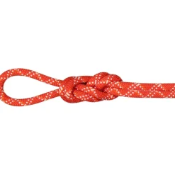 9.5 Gym Classic Kletterseil