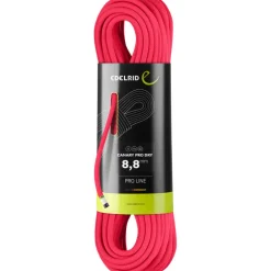 Canary Pro Dry 8.8 Kletterseil
