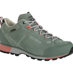 Damen 54 Hike Low Evo GTX Schuhe