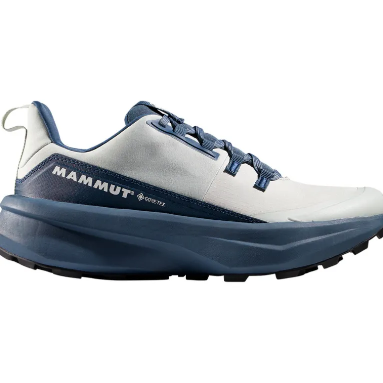 Damen Aenergy Hike Low GTX Schuhe