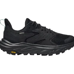 Damen Anacapa 2 Low GTX Schuhe