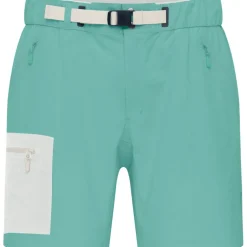 Damen Falketind Flex1 Light Shorts