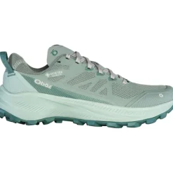 Damen Katabatic LT Low GTX Schuhe