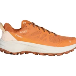 Damen Katabatic LT Low GTX Schuhe