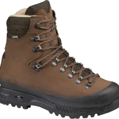 Herren Alaska GTX Schuhe