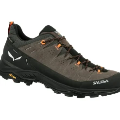 Herren Alp Trainer 2 GTX Schuhe