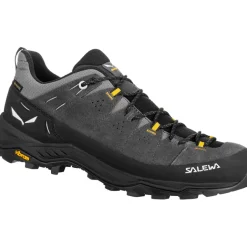 Herren Alp Trainer 2 GTX Schuhe