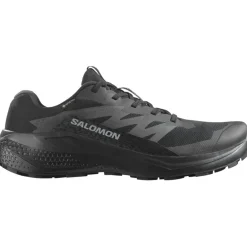 Herren Alphaglide GTX Schuhe