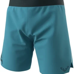Herren Alpine Shorts