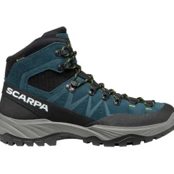 Herren Boreas GTX Schuhe