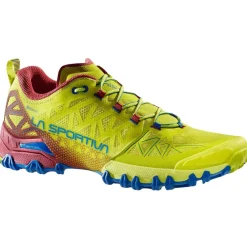 Herren Bushido II GTX Schuhe