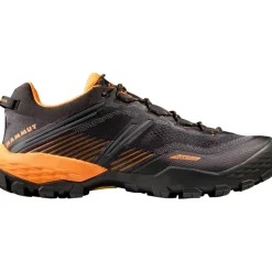 Herren Ducan II Low GTX Schuhe