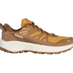 Herren Katabatic LT Low GTX Schuhe