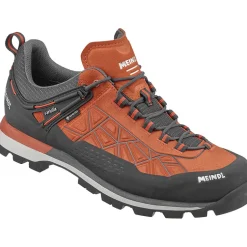 Herren Literock Free GTX Schuhe