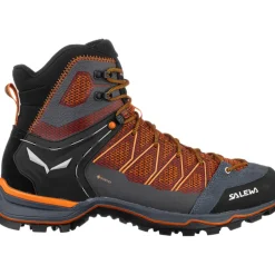 Herren MTN Trainer Lite Mid GTX Schuhe