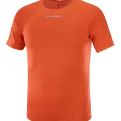 Herren S-Lab Speed T-Shirt