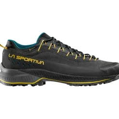 Herren TX4 Evo GTX Schuhe
