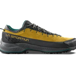 Herren TX4 Evo GTX Schuhe