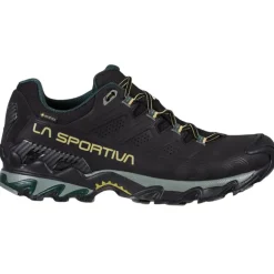 Herren Ultra Raptor II Leather Wide GTX Schuhe