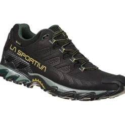 Herren Ultra Raptor II Leather GTX Schuhe