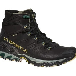 Herren Ultra Raptor II Mid Leather GTX Schuhe
