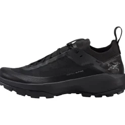 Herren Vertex Alpine GTX Schuhe