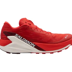 S-Lab Pulsar 4 Schuhe